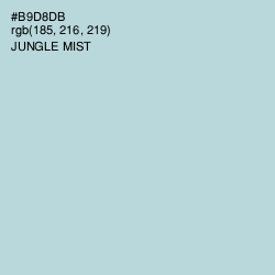 #B9D8DB - Jungle Mist Color Image